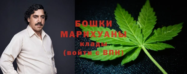 дмт Гусь-Хрустальный