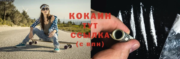 дмт Гусь-Хрустальный