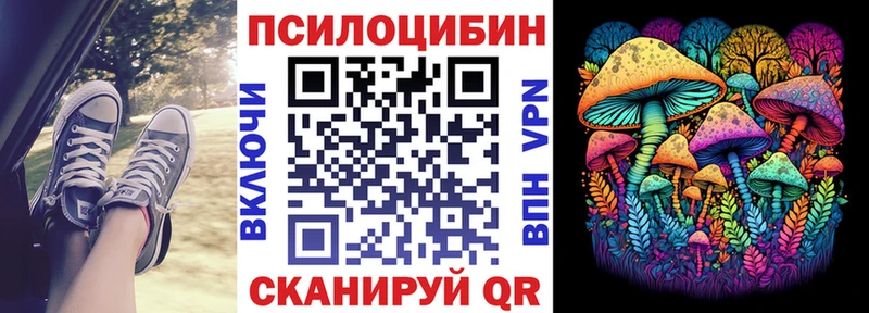 Псилоцибиновые грибы Magic Shrooms  Купить  Торжок 