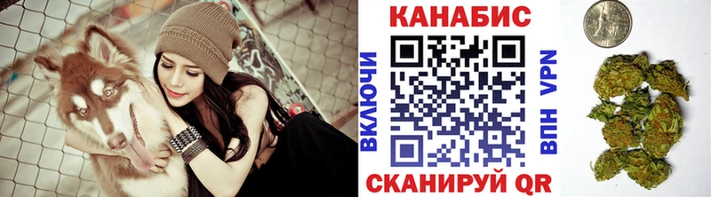 Купить  Торжок  Бошки Шишки ГИДРОПОН 